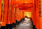Forse il posto simbolo per le foto a Kyoto,  un Santuario shintoista situato nella periferia della citt. La caratteristica principale  ovviamente la presenza dei Torii, ognuno dei quali  stato donato da una societ giapponese.

Come sempre, critiche e commenti sono ben accetti.

Canon ESO R7 | EF24-105 | 24 mm | 1/25 sec. | f/7,1 | ISO 800 | AV