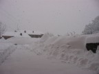 Nevicata del 26/27gennaio 2006