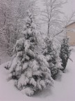 Nevicata del 26/27gennaio 2006