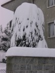 Nevicata del 26/27gennaio 2006