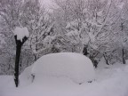 Nevicata del 26/27gennaio 2006