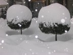 Nevicata del 26/27gennaio 2006