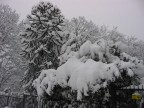 Nevicata del 26/27gennaio 2006