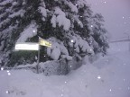 Nevicata del 26/27gennaio 2006