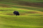 Poggiorsini
