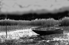 Trasimeno di sera