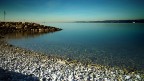 Alto Adriatico