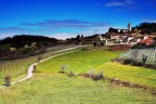 Inizi di primavera in Lessinia