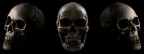 A skull triptych.