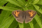 https://www.flickr.com/photos/giovanniq/54537826481/in/datetaken-public/
