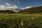 https://www.flickr.com/photos/giovanniq/54540615977/in/datetaken-public/