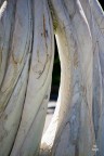 Pentax KF ob 70-300 (180mm)
t1/400, f 5.6, ISO 100

Padriciano (TS), Area  del Sincrotrone; Scultura marmorea (particolare)

Graditi suggerimentei tecnici e pareri personali
Grazie mille
Furyo