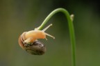 https://www.flickr.com/photos/giovanniq/54606129556/in/datetaken-public/