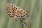 Macro_22Giu2025_1