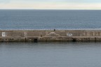 L'uomo e il mare