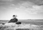 Kelvedon, Tasmania - Aprile 2025