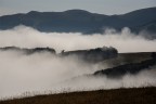 https://www.flickr.com/photos/giovanniq/54635071019/in/datetaken-public/
