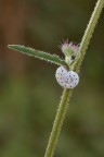 https://www.flickr.com/photos/giovanniq/54650831712/in/datetaken-public/