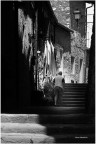 Ombre e Passi Lenti