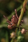 Macro_15Giu2025_9