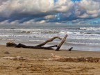 Il mare di marzo