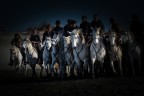 I cavalli della Normandia