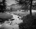 Intrepid 4x5
Fomapan 100 @ 80 sviluppata in Rodinal
Schneider-Kreuznach 90mm f/8 Super Angulon @ f/32