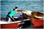 ... aggressione respinta