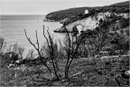 Splendido paesaggio deturpato da un piromane