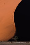 Alba alla duna 40