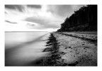 Mersea Island, UK (2025)