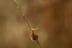 https://www.flickr.com/photos/giovanniq/54787120760/in/dateposted-public/