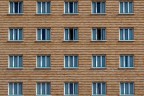 urban #222