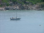 Solitudine