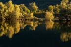 anticipo d'autunno