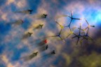 Modellini molecolari, sul piano di vetro di un tavolo, su cui si  rifletteva  il cielo nuvoloso.