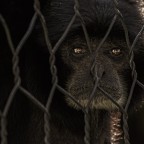 Tempo fa avevo postato questa foto in bn e con una composizione diversa. Ho provato a ripostprodurla
Commenti e critiche sempre ben accetti