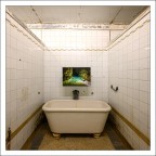 Nei primi anni del '900 un imprenditore bolognese inaugur il primo diurno a Bologna a cui seguirono altri nelle principali citt italiane, dopo quello di Milano nel 1924 segu anche quello di Pisa del quale questa  una immagine interna. La struttura  funzionante e si trova sotto la Loggia dei Banchi ed  una curiosa attrazione turistica bench bisognosa di una robusta manutenzione, con 50 cent fate un viaggio nel secolo scorso.