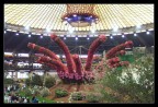 Euroflora - Genova (28 aprile 2006)