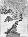 Sengio Alto; Alta Vallarsa (TN), circa 1200m. FIne dicembre 2025