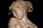 opere di propriet� del Museo Revoltella - Galleria d'arte - Trieste.