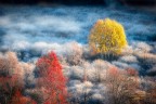 Painted by light