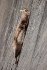 Vertical Tasting