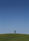 solito solitario solo solito solitario solo