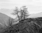 Intrepid 4x5 | Schneider-Kreuznach 90mm @ f22 | Fomapan 100 @ 80
Filtro arancio
Sviluppo in Rodinal