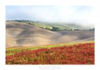 terra senese terra senese