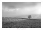 alba primaverile alba primaverile