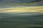 onde e pali