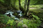 https://www.flickr.com/photos/giovanniq/55362799230/in/dateposted-public/