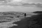 https://www.flickr.com/photos/giovanniq/55343529634/in/dateposted-public/